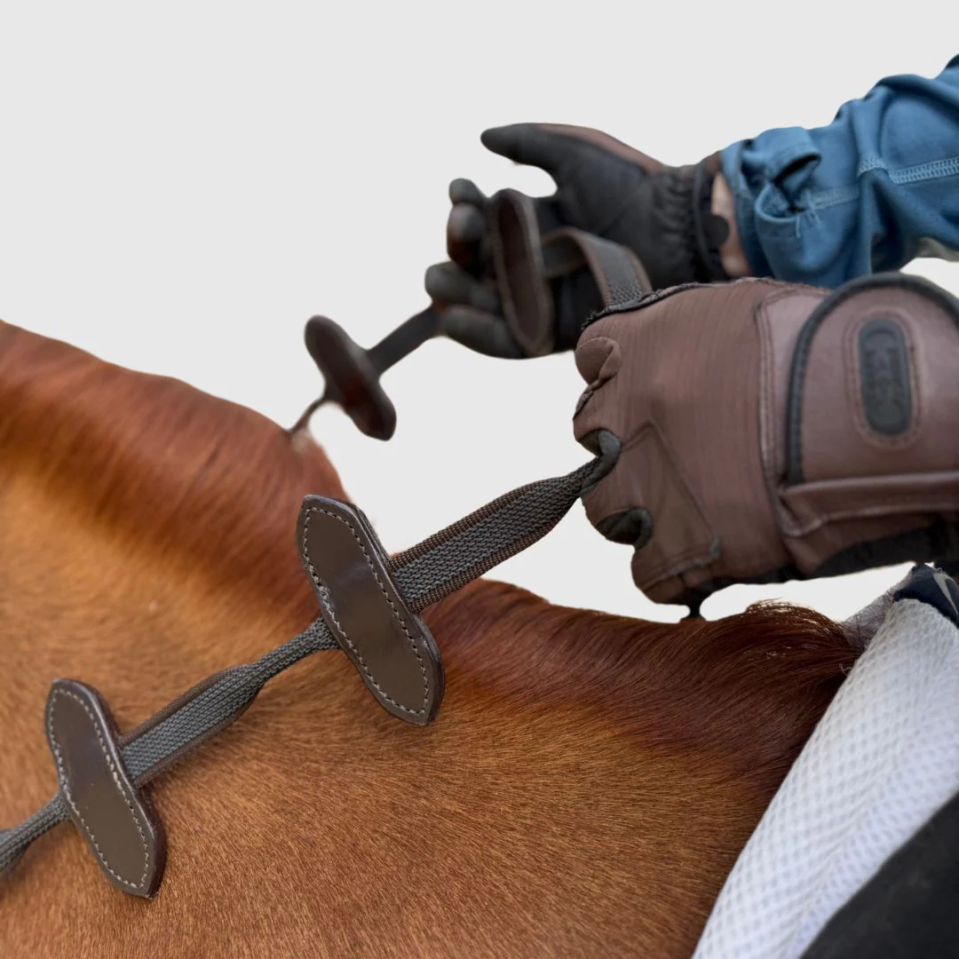 Horse Riding Accessories 