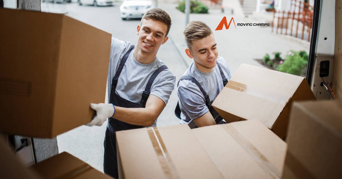 Removalists marrickville