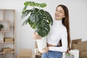 Indoor Plants Melbourne: Your Comprehensive Guide to Thrive in Indoor Gardening