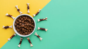 Why Choosing the Right Dog Food is Crucial for Your Pet’s Health