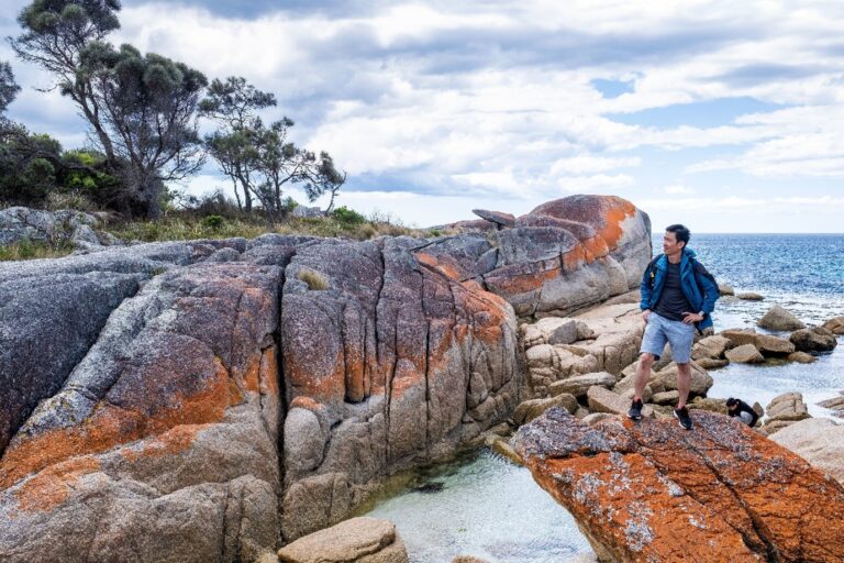 Top Highlights and Experiences on a Flinders Ranges Tour