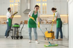 Clean and Serene: Professional House Cleaning Services