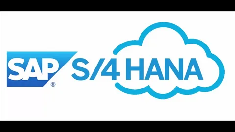 SAP/S4 Hana