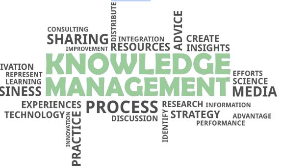 Smarter Teams, Stronger Results: Benefits of Knowledge Management Courses for Employees