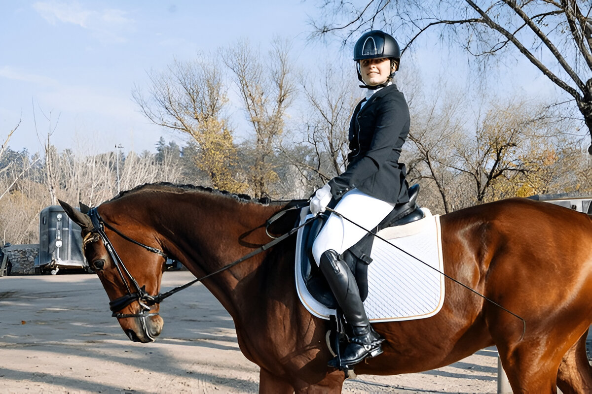 Stock Saddle