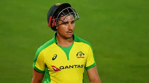 Cricket