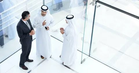 How Can UAE Nationals Benefit from Emiratisation Programs?