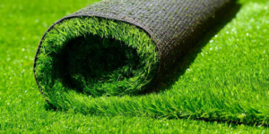 How To Choose The Right Types Of Turf For Your Garden?
