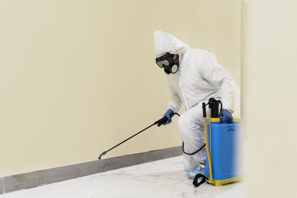 pest control