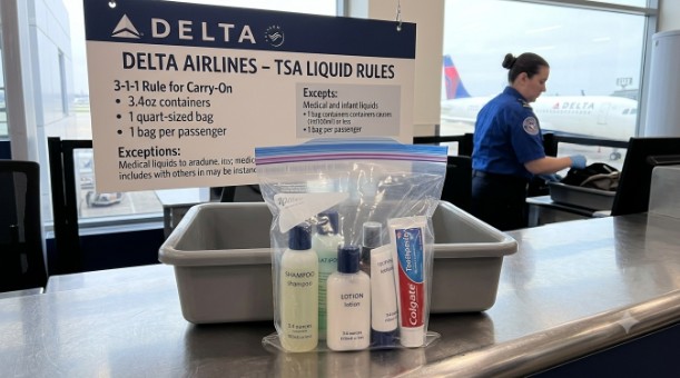How Much Does It Cost to Fly With a Pet on Delta Airlines?